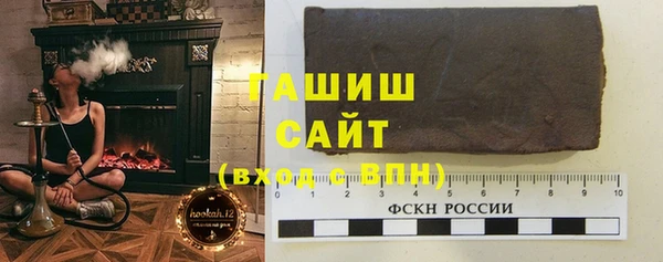 индика Болхов