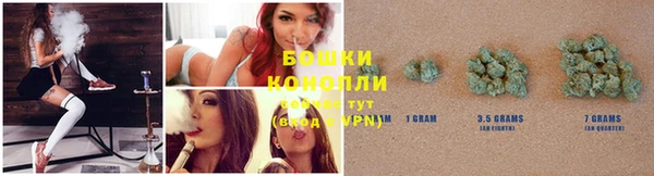 стаф Нефтекумск