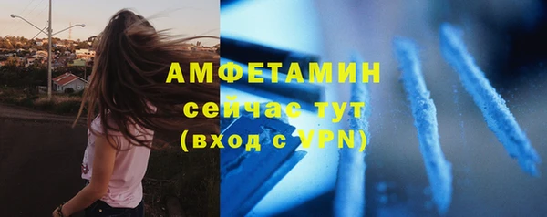 амф Новодвинск