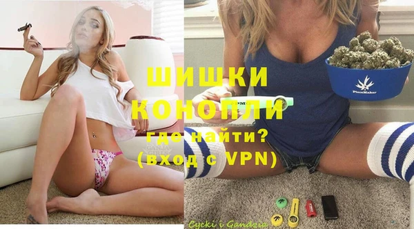 индика Болхов