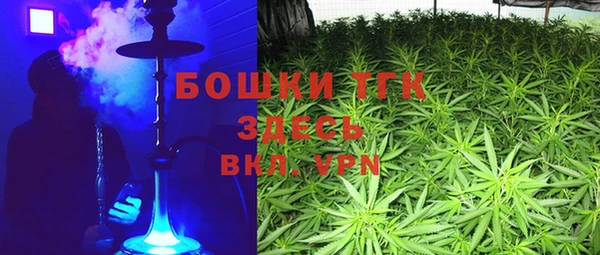 каннабис Новозыбков