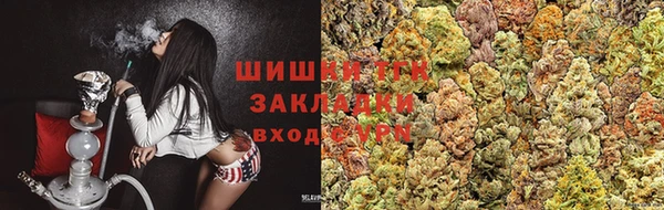 амф Новодвинск