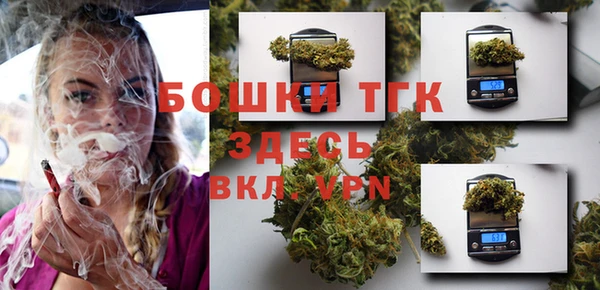 амф Новодвинск