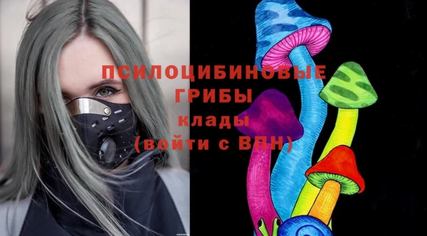 каннабис Новозыбков