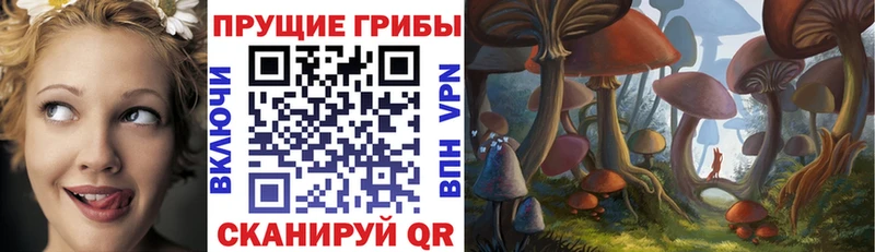 Псилоцибиновые грибы прущие грибы  блэк спрут зеркало  Салаир  цена наркотик 